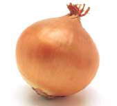 ʂ˂